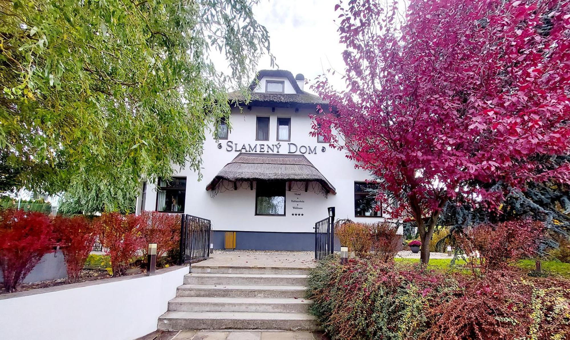 Hotel Slameny Dom & Spa Malá Ida 外观 照片